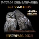 Dj Yakeen - Now or never