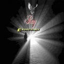 Endrudark - Ray (Original mix)