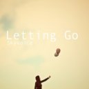 Skyvoice - Letting Go