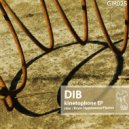 DIB - Kinetophone 001.1