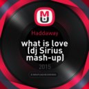 Haddaway - What is Love (dj Sirius mash-up) (dj Sirius mash-up)