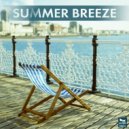 Tom Strobe - Love Lights