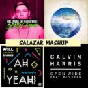 Will Sparks & TJR & SCNDL vs. Calvin Harris feat. Big Sean - Ah Yeah ! So Open Wide (Salazar Mashup)