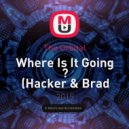 The Orbital - Where Is It Going ? (Hacker & Brad Rock RMX)