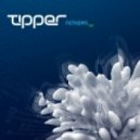 Tipper - Ambergris
