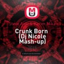 Steve Aoki & Karim Mika - Crunk Born (Dj Nicole Mash-up) (Dj Nicole Mush-up)