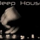 Dj Polyubin - Deepmix#5 ()