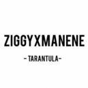 ZIGGY x Manene - Tarantula (Original Mix)