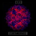Fraen - Perfect Picture