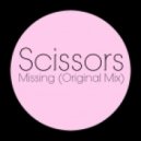 Scissors - Missing
