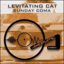 Levitating Cat - Sunday Coma (Original mix)