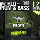 Profit - World of Drum&Bass (Official Promo Mix)