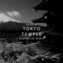 Baauer - Tokyo Temple