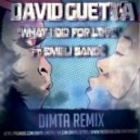 David Guetta feat Emeli Sande - What I Did For Love
