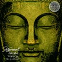 John Marble - The Message (shialarandom Remix)