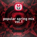 jDIAMONDj - popular spring mix vol.1 ()