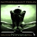 bRUJOdJ - Northenlight Feelin'