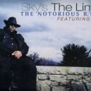 Notorious BIG feat. 112 - Skys The Limit (Links B.I.G DnB Booty)