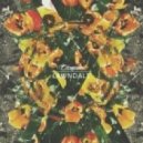 Edamame - Your Room