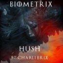Biometrix - Huch Ft Charli Brix (Original mix)