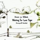 Avicii vs. R3hab - Waiting For Love Tiger (Romyyca89 MashUp)