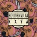Bougenvilla - Kaya