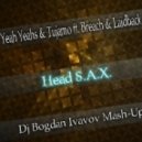 Yeah Yeah Yeahs & Tujamo ft. Breach & Laidback Luke - Head S.A.X. (Dj Bogdan Ivanov Mash-Up)
