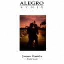 James Gamba - Pure Lust (Alegro Remix)