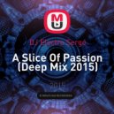 DJ Electro Sergo - A Slice Of Passion