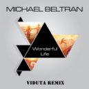 Michael Beltran - Wonderful Life (Viduta Remix.)