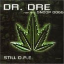 Dr. Dre ft. Snoop Dogg - Still D.R.E. (A-One Remix)