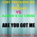 Lost Frequencies & Freejak vs. Katrin & DJ Cross - Are You Got Me (Andrey Gorkin Mash Up)