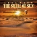 Alex Vino - Leave Problems Behind (Original Mix)