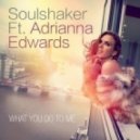 Soulshaker - What You Do To Me feat. Adrianna Edwards