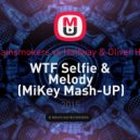 The Chainsmokers vs Halfway & Oliver Heldens - WTF Selfie & Melody