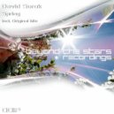 David Surok - Spring (Original Mix)