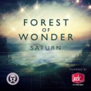 Saturn - Forest of Wonders