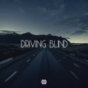 DROPDILLA x Jack Novak feat Bright Lights - Driving