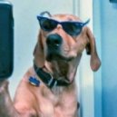 DJ PECHKIN & MOYYO - Self on iPhone (Original mix)