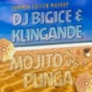 DJ BIGICE & Klingande - Mojito vs. Punga (DJ BIGICE Mashup)