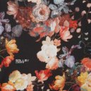 Sollmy - Coroana