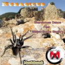 Shardhouse Dance - Nuragicus (ft. Matteo Bucca Studio's)