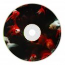 Zavaleta - Can U Feel The Sounds