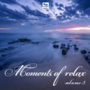 Zetandel & Lukas Termena - Let You Fly
