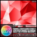 Hardwell & Martin Garrix vs Mikey P & Ryan Enzed vs. Hardwell feat. Harrison - Sally (Dj Eterno Mash Up)