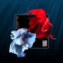 Upbeats & Shapeshifter - Little By Little