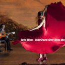 David Biton - UnderGround Silver (Deep House Edit)