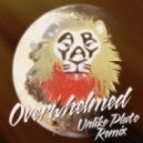 Aryay - Overwhelmed feat. Elkka
