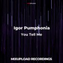 Igor Pumphonia - Reverse Dip (Original mix)