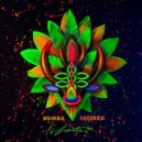 Bomba Estereo - Fiesta